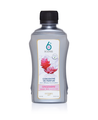 Gingembre - Recharge Estebel 6th Scense 250ml