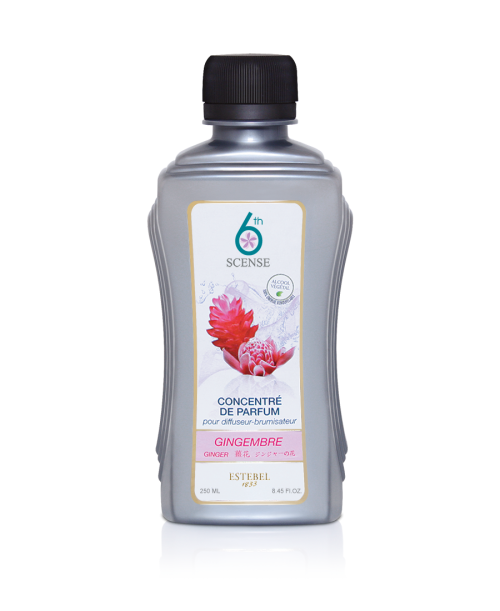 Gingembre - Recharge Estebel 6th Scense 250ml
