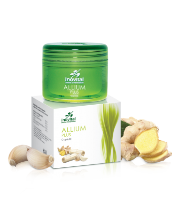 Allium Plus