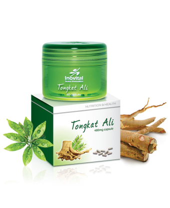 Tongkat Ali