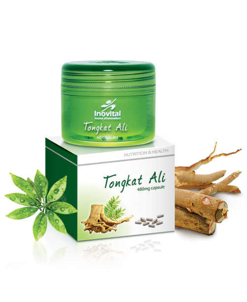 Tongkat Ali